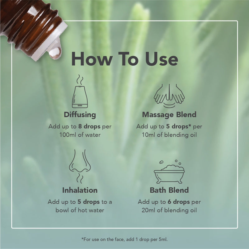 Rosemary Organic Essential Oil, imported from the UK