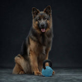 Nike Kettle Bell large dog toy in blue, UK version
