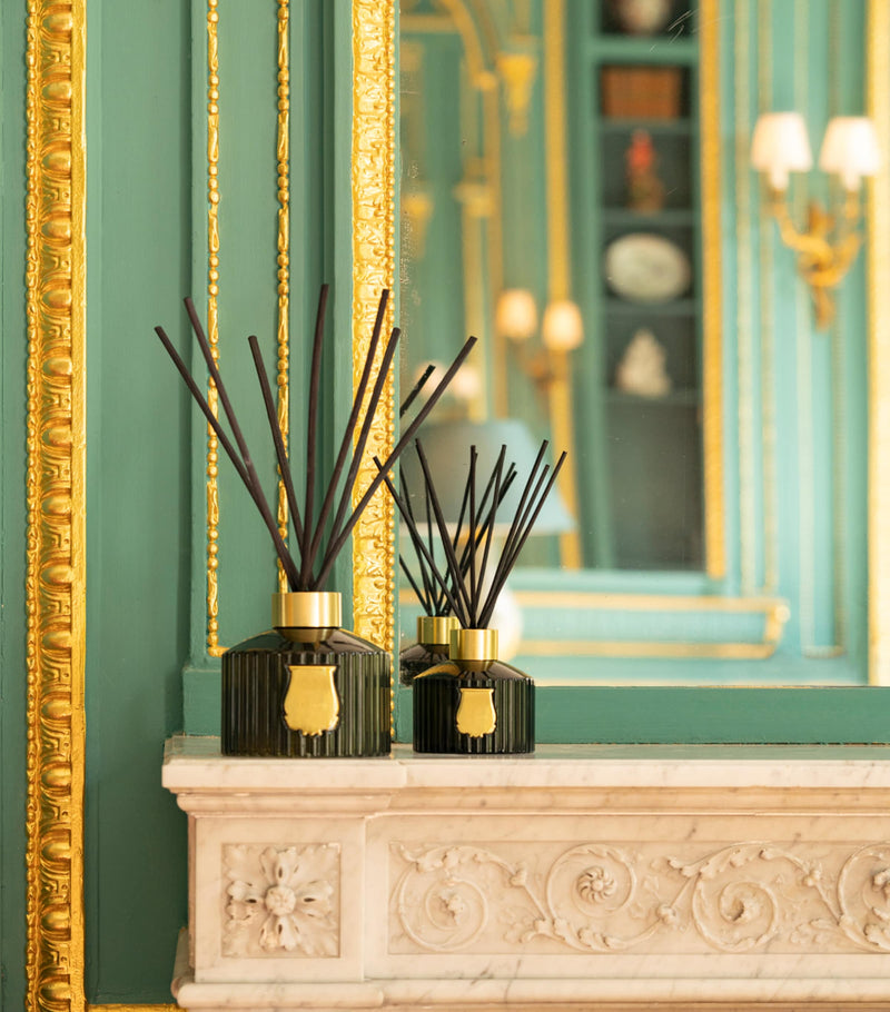 Trudon Ernesto reed diffuser 350ml (British brand)