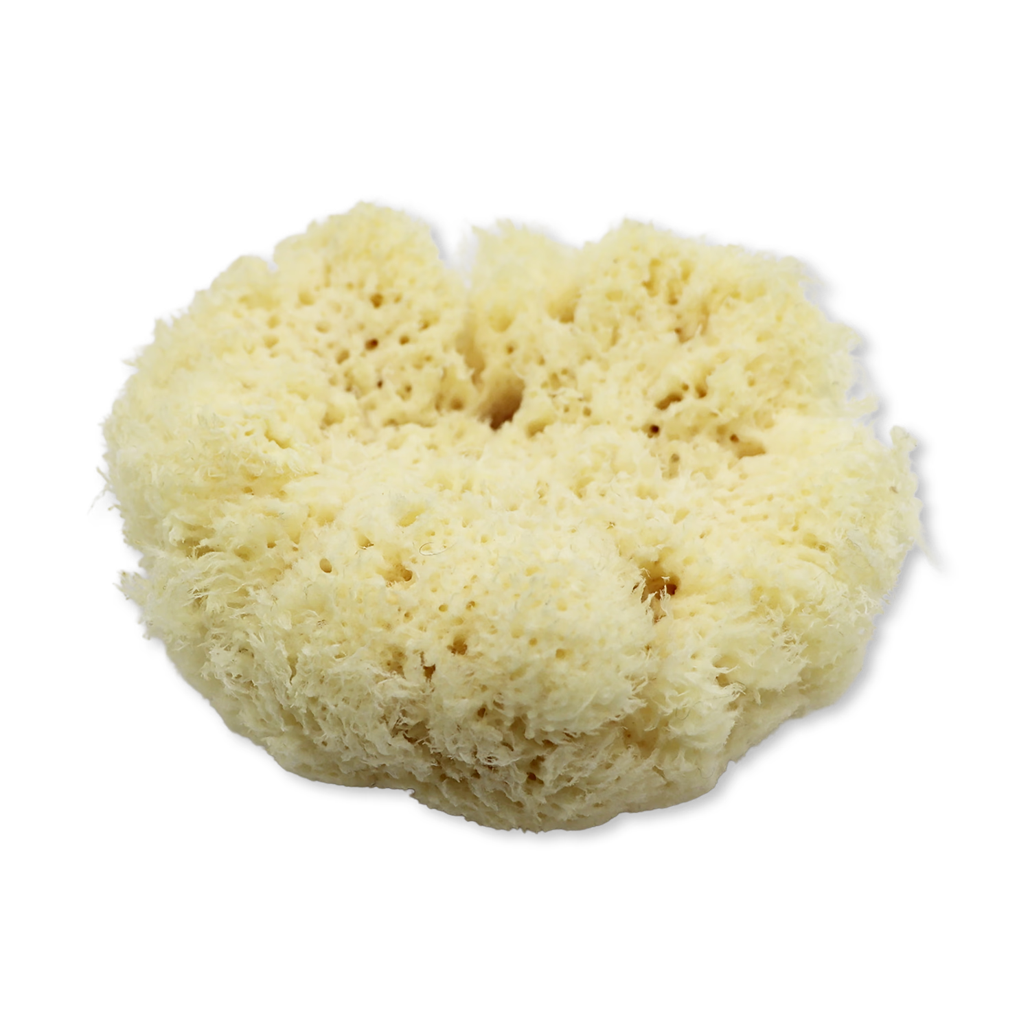 SpongeBox natural sea sponge 6-6.5 inches - British product
