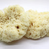 SpongeBox natural sea sponge 6-6.5 inches - British product