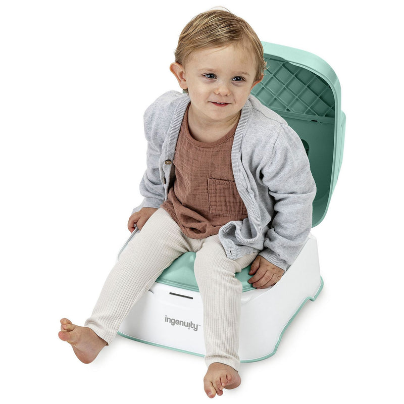 Ingenuity 3in1 double step potty training seat, UK version