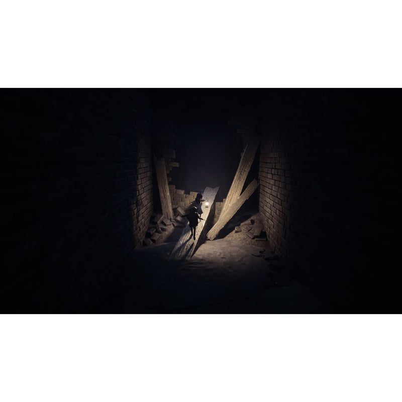 REANIMAL Nintendo Switch 2 horror game card - British product