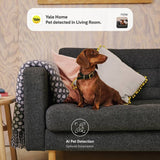Yale white wired smart indoor camera, UK version