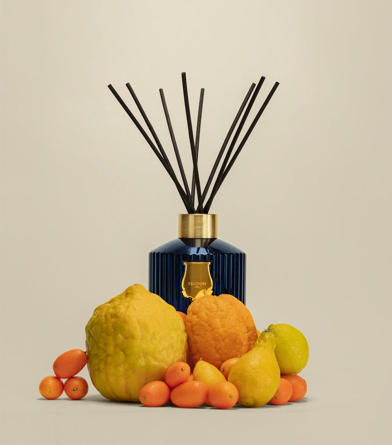 Trudon Reggio reed diffuser refill 300ml - British product