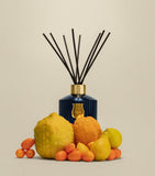 Trudon Reggio reed diffuser refill 300ml - British product