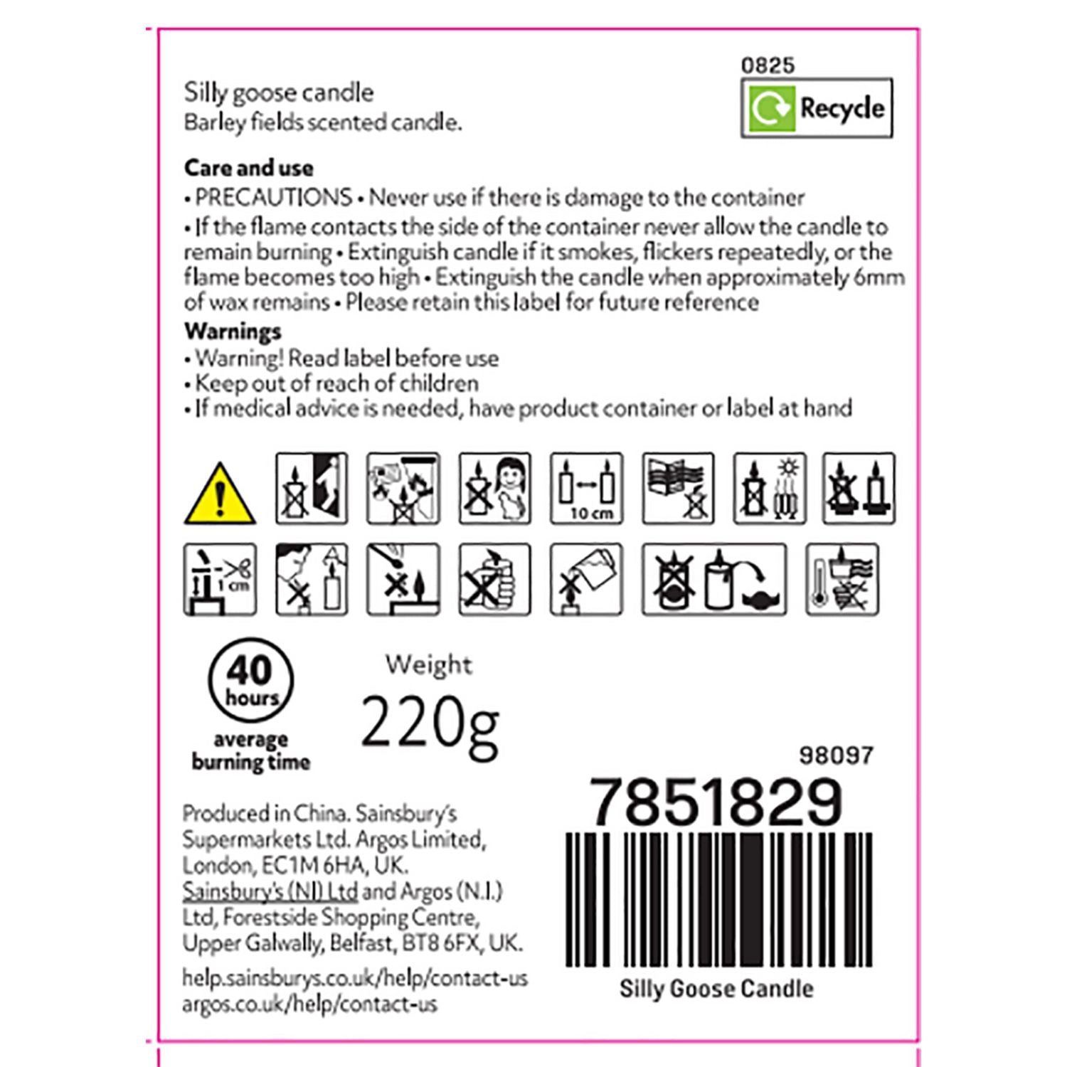 Argos Home Silly Goose scented candle 8cm, UK version