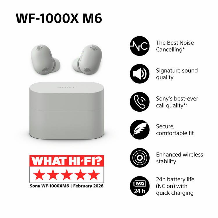 Sony WF-1000XM6 noise cancelling earbuds silver, UK version