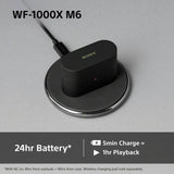 Sony WF-1000XM6 noise cancelling earbuds silver, UK version