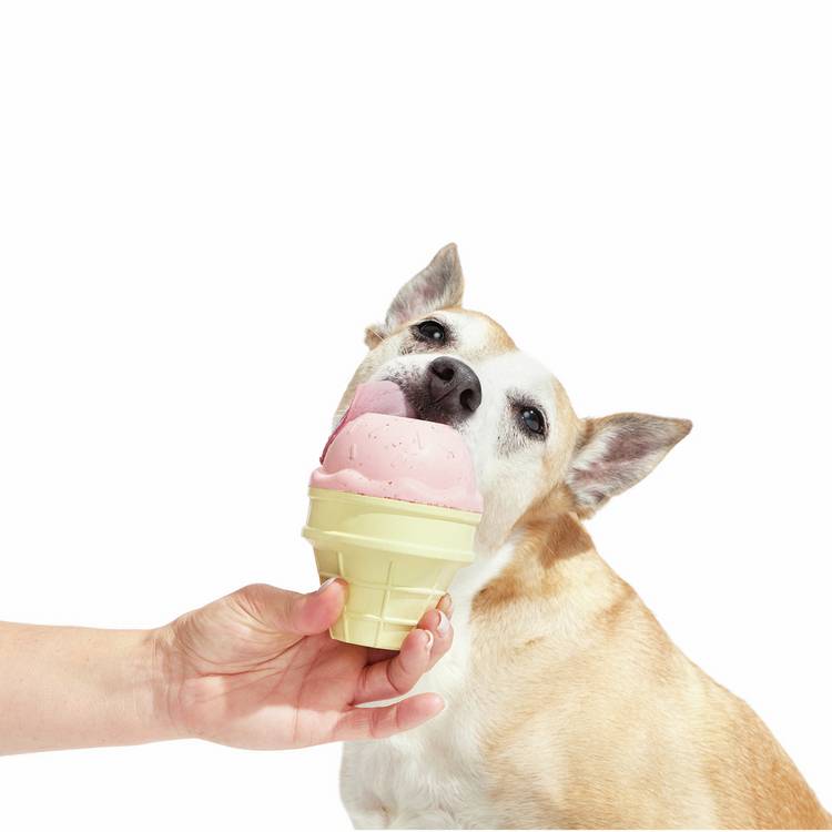 Bark I-Squeak Cone dog chew toy for medium dogs (British brand)