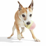 Bark I-Squeak Cone dog chew toy for medium dogs (British brand)