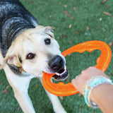 Bionic Toss N Tug Turbo orange pet toy, imported from the UK