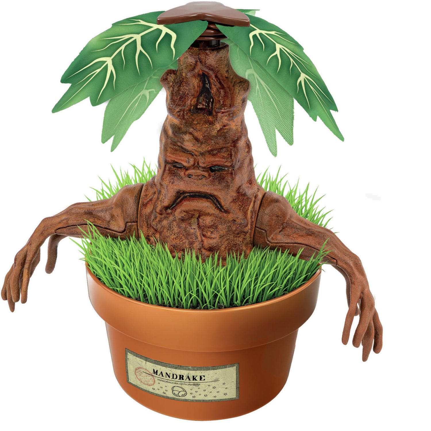 Harry Potter Mandrake growing kit with plaster and paints (British brand)