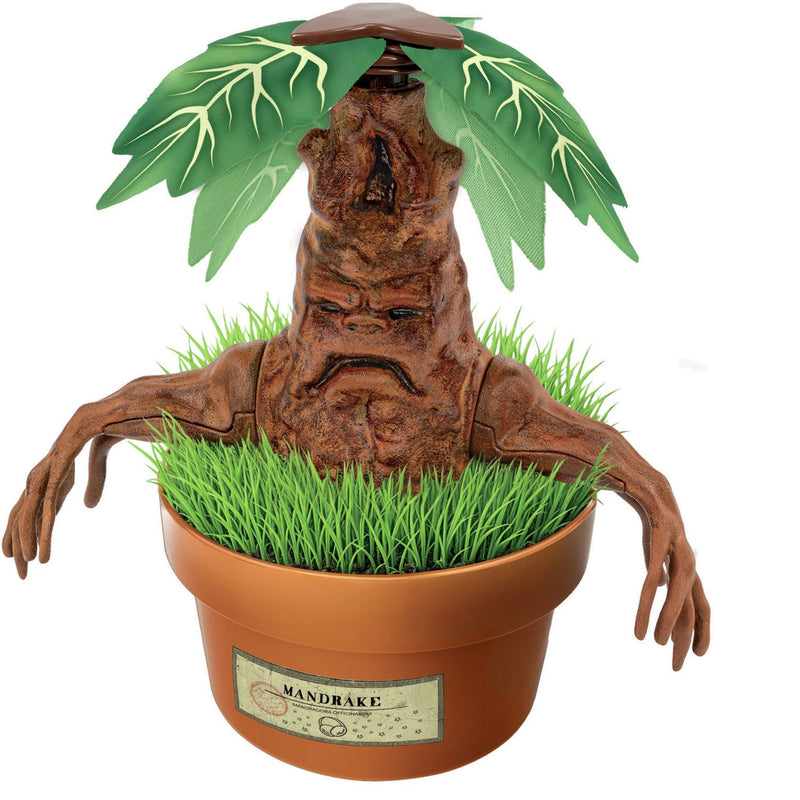 Harry Potter Mandrake growing kit with plaster and paints (British brand)
