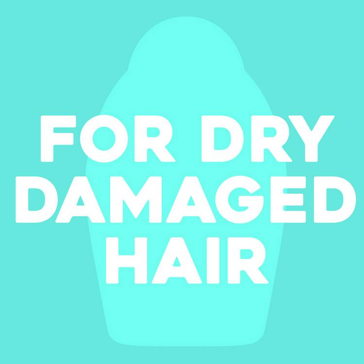 OGX argan oil conditioner 385ml, UK version