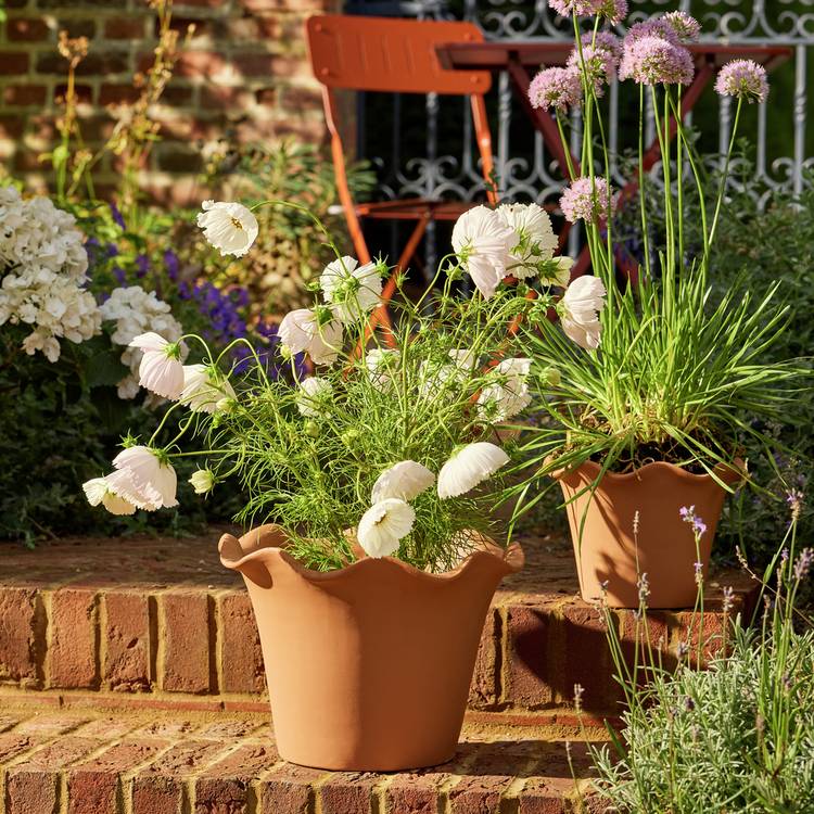 Habitat scalloped clay planter 28.5cm, UK version
