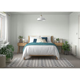 Dulux silk paint White Mist 5L, imported from the UK