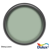 Dulux Dewy Lawn bathroom paint 2.5L, UK version