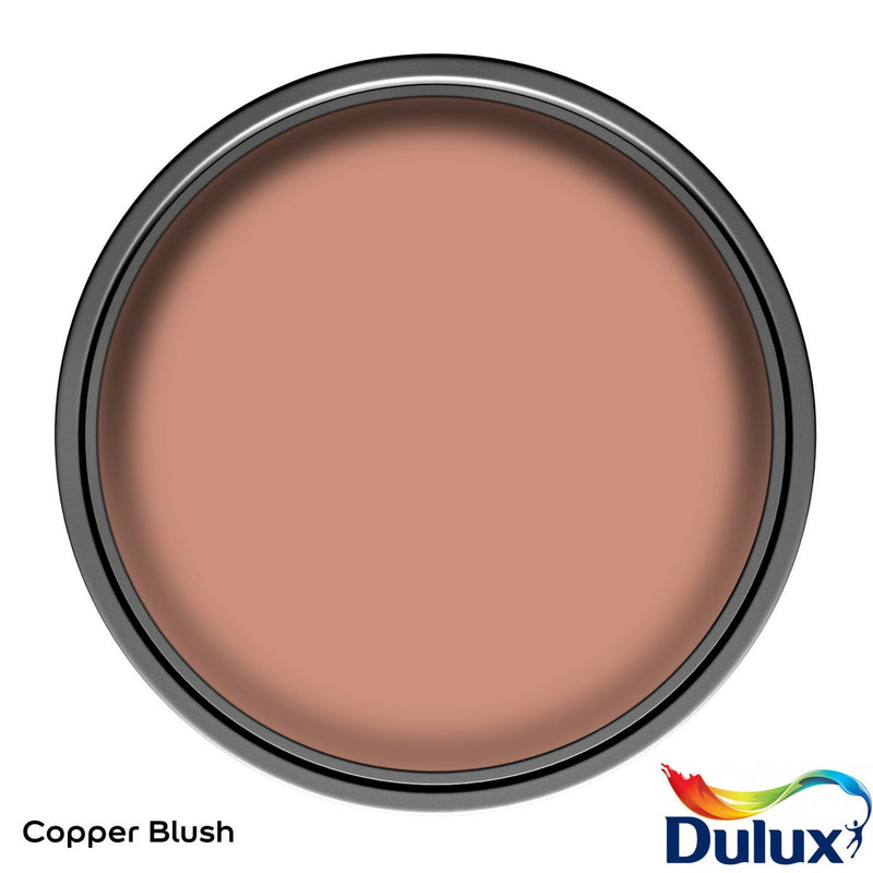 Dulux Easycare Kitchen Matt paint Copper Blush 2.5L, UK version