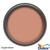 Dulux Easycare Kitchen Matt paint Copper Blush 2.5L, UK version