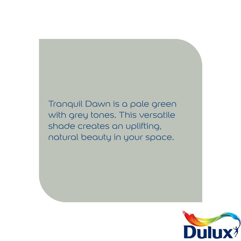 Dulux Easycare Kitchen paint Tranquil Dawn 2.5L, UK version