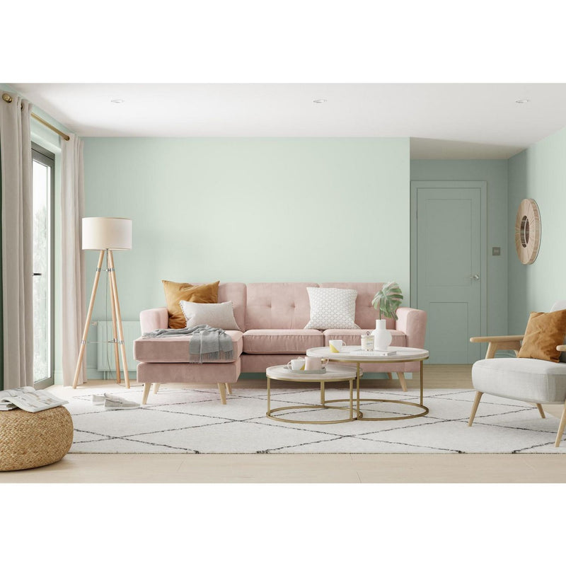 Dulux Willow Tree green matt paint 5L (British brand)