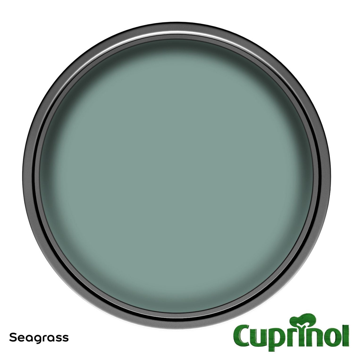 Cuprinol Garden Shades Seagrass 1L paint, UK version