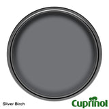Cuprinol garden paint Silver Birch 5L - British product