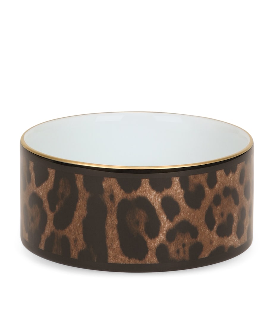 Dolce&Gabbana Leopardo porcelain trinket box - British product