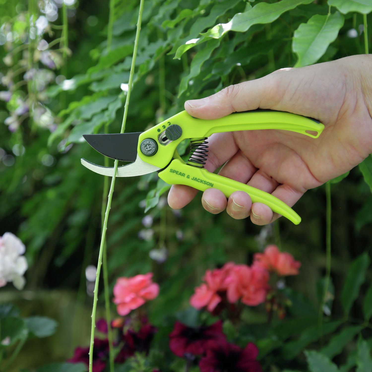 Spear & Jackson Razorsharp secateurs set - British product