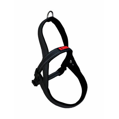 Argos KONG Norwegian Dog Collar Harness - Black- Buy online at McGrocer