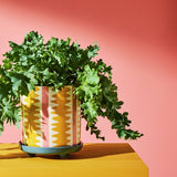 Habitat ceramic yellow striped planter with saucer, UK version
