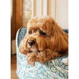 Morris & Co large dog bed, imported from the UK