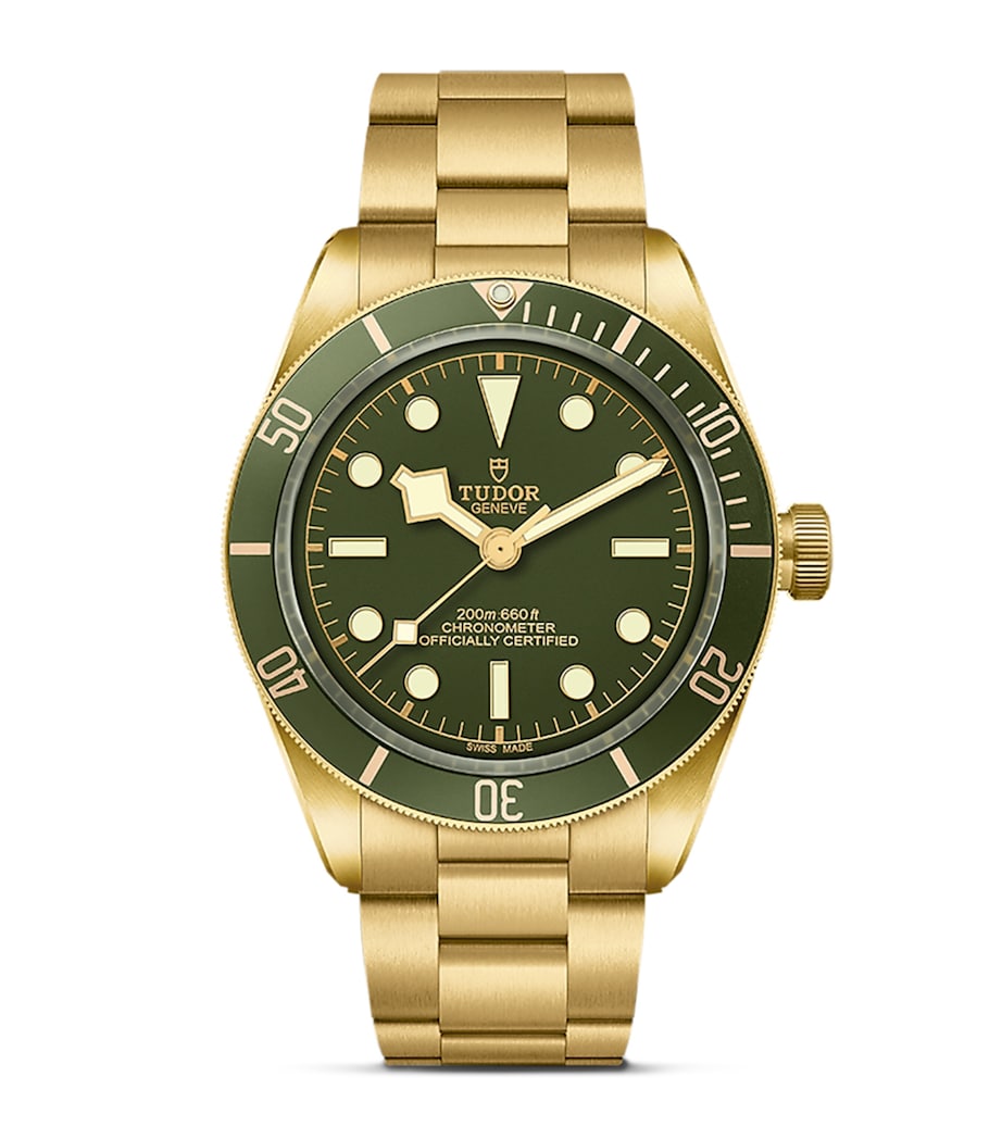 TUDOR Black Bay Yellow Gold 39mm watch, UK version