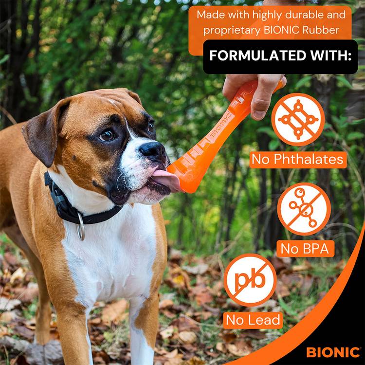 Bionic Urban Bone Stick dog toy 23cm, UK version