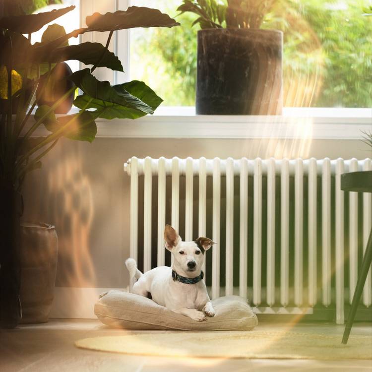 SpeedComfort cast iron radiator fan trio set white, imported from the UK