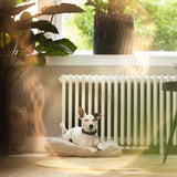 SpeedComfort cast iron radiator fan trio set white, imported from the UK