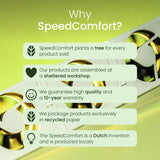 SpeedComfort cast iron radiator fan trio set white, imported from the UK