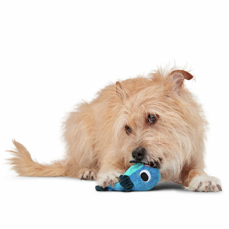 Bark Catfish Claude dog chew toy with crinkles, imported from the UK
