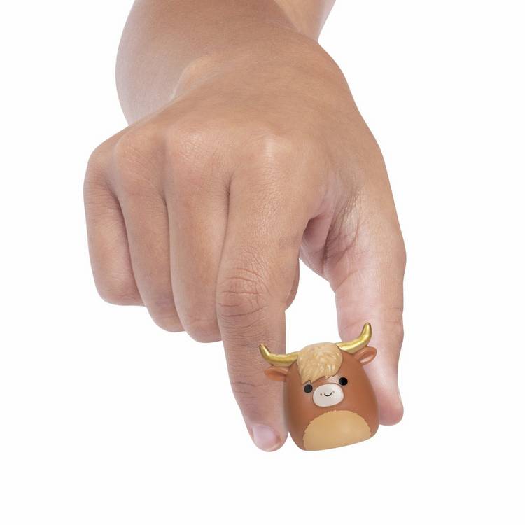 Squishmallows Squish-a-longs Series 6 14-pack mini figures (British brand)