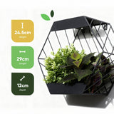Streetwize hexagonal metal solar wall planter 29cm - British product