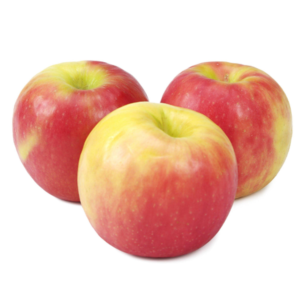 Sainsbury's Pink Lady Apple Single