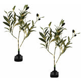 Streetwize olive tree solar lights pack of 2, UK version