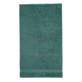 Catherine Lansfield Anti Bacterial Hand Towel - Forest Green