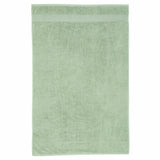 Catherine Lansfield Anti Bacterial Hand Towel - Sage