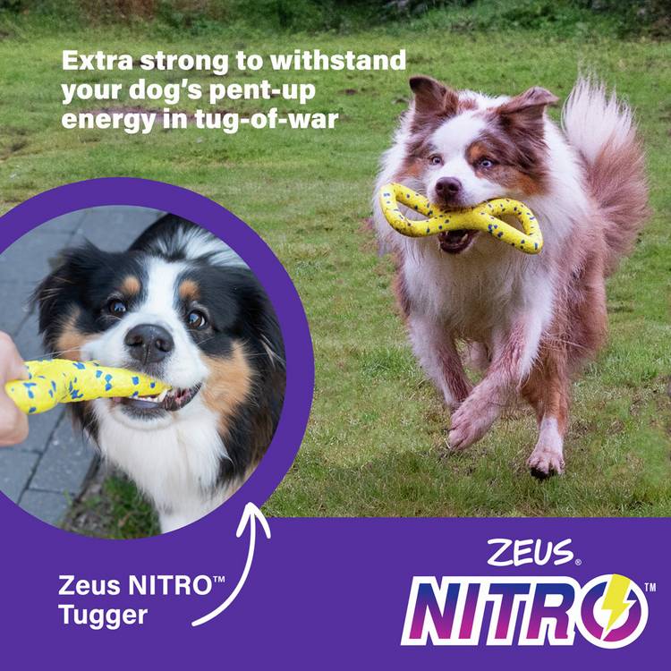 Zeus NITRO Tugger Dog Lead 22cm, imported from the UK