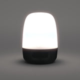 Decathlon LED camping lantern with rechargeable battery, imported from the UK