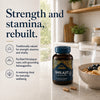 Ayurvediq Shilajit & Ashwagandha capsules 60 - British product