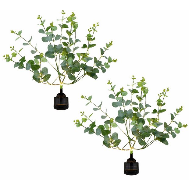 Streetwize eucalyptus tree solar lights pack of 2, UK version