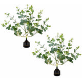 Streetwize eucalyptus tree solar lights pack of 2, UK version